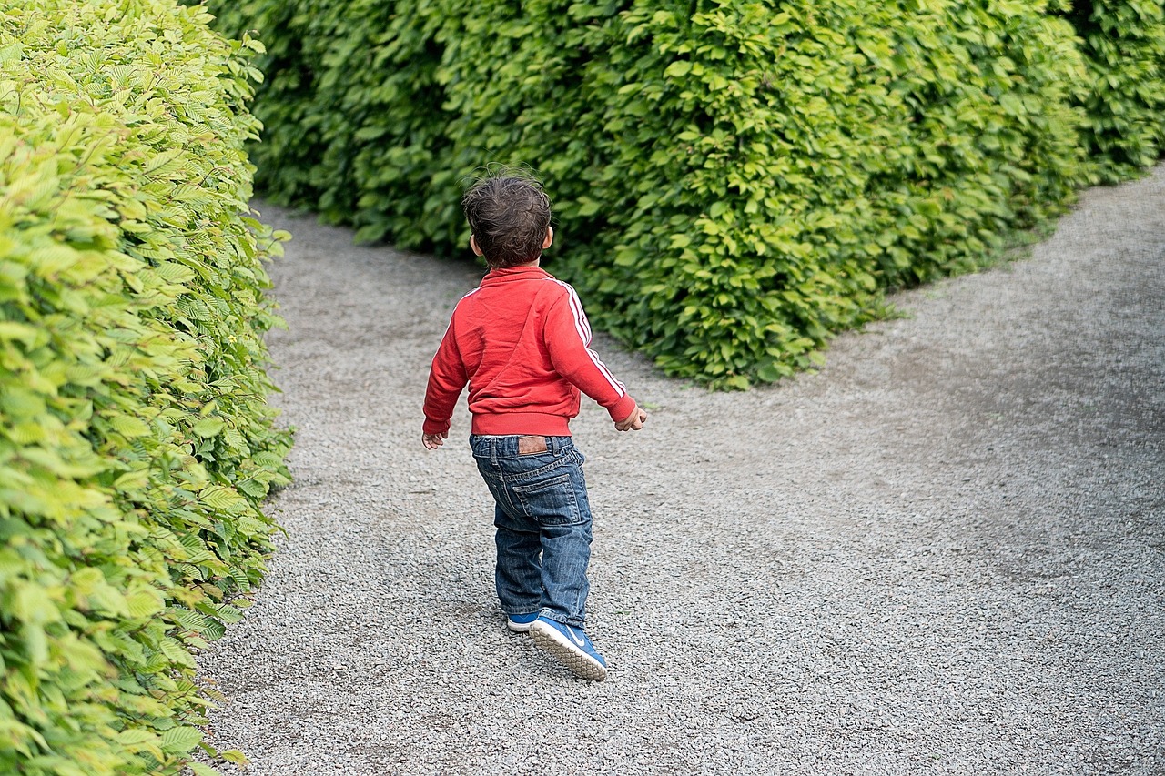 你好种地少年2定档，十个勤天团综再次集结
