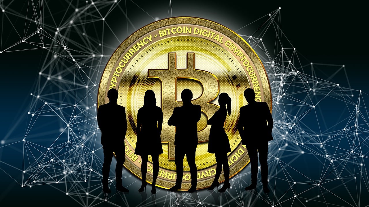 新浪财经官方网站，金融信息的权威门户与自媒体作者的得力助手