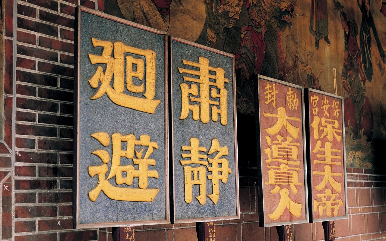 打造品牌魅力，好听的体育公司名字的艺术与科学