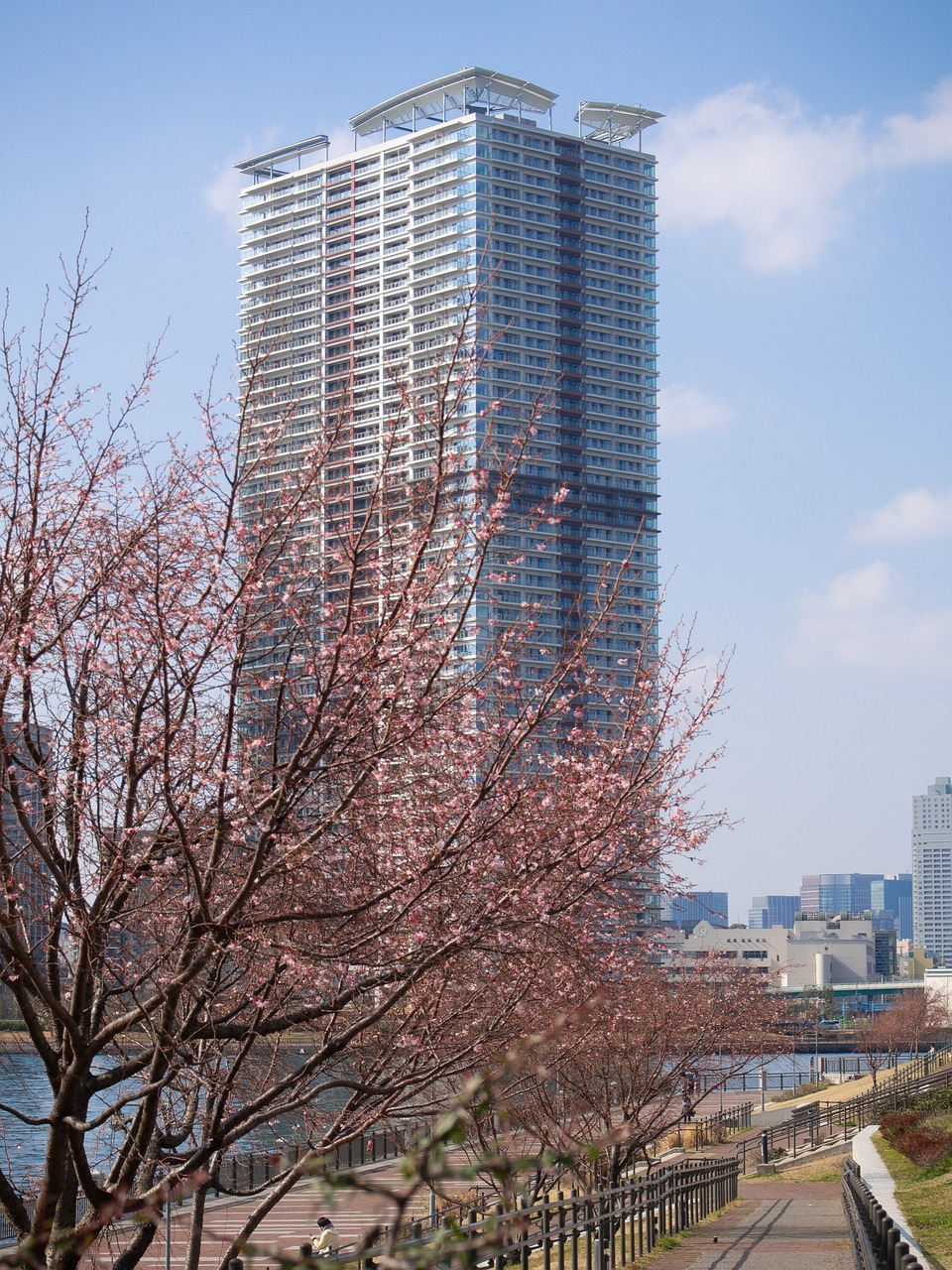 半岛公园，城市绿洲的休闲天堂
