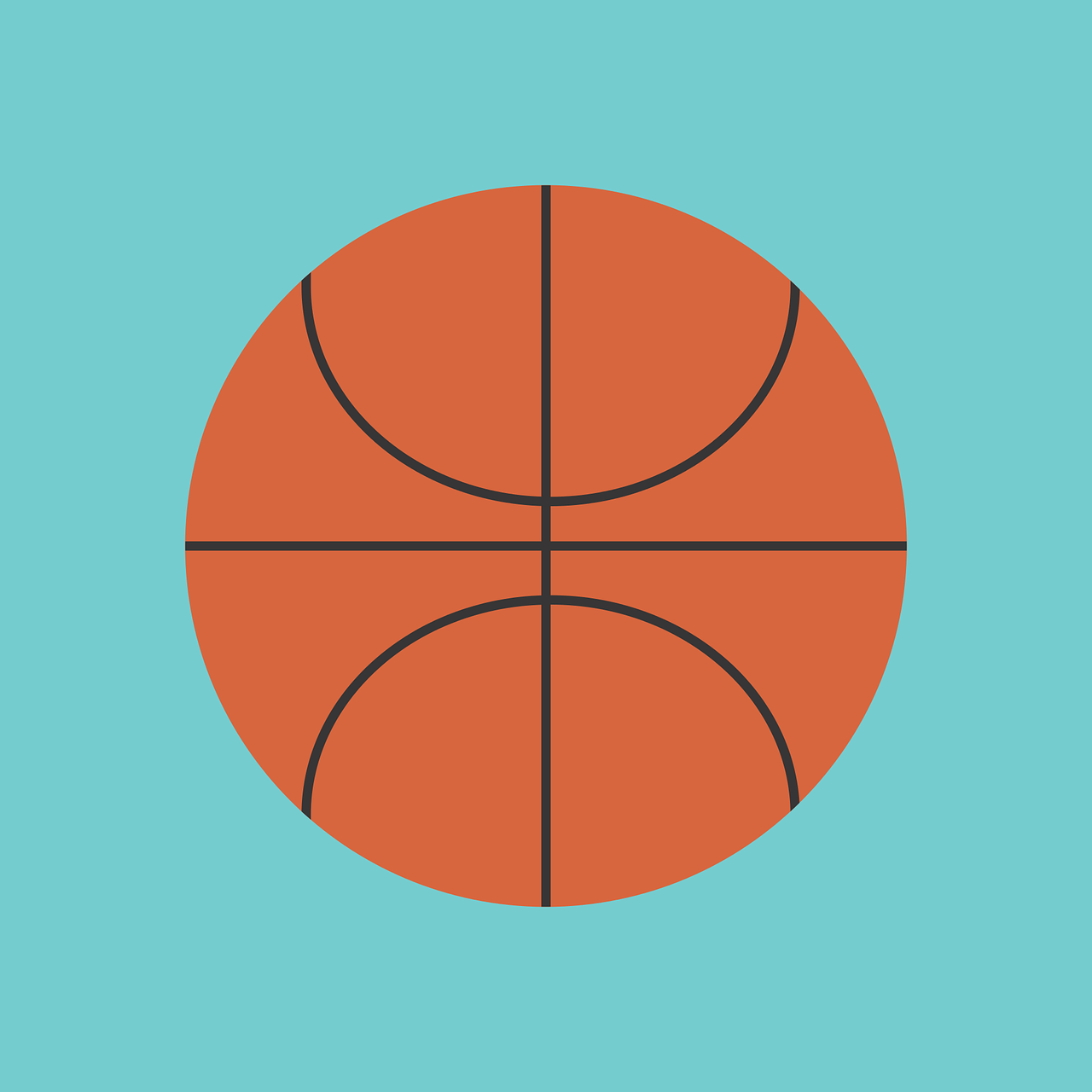 探索篮球世界，NBA数据查询App的全面指南